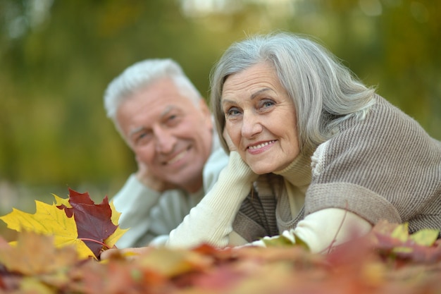 Ritratto di una coppia senior felice nel parco autunnale