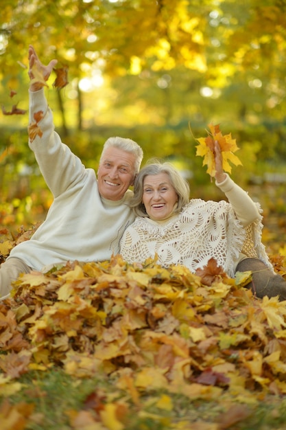 Ritratto di una coppia senior felice nel parco autunnale