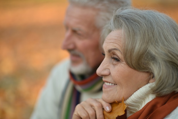 Ritratto di una coppia senior felice nel parco autunnale