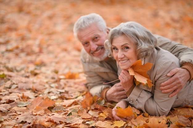 Ritratto di una coppia senior felice nel parco autunnale