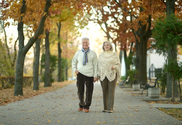 Ritratto di una coppia senior felice nel parco autunnale
