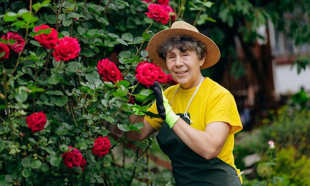 Ritratto di una donna anziana giardiniere in un cappello che lavora nel suo cortile con rose Il concetto di giardinaggio che cresce e si prende cura di fiori e piante