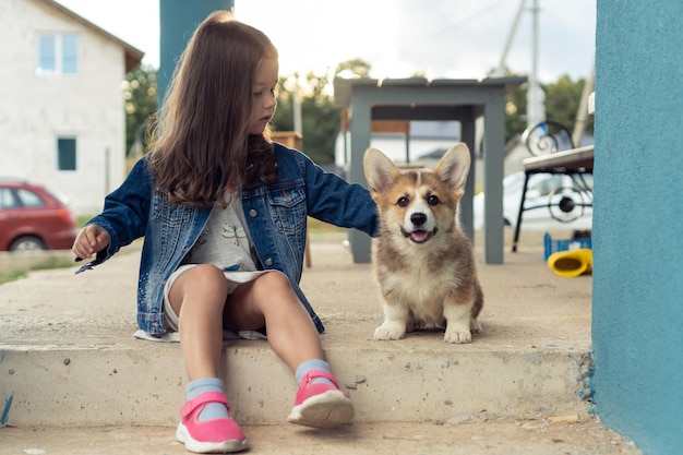 Ritratto di una meravigliosa bambina con lunghi capelli scuri che indossa una giacca di jeans che accarezza la pelliccia del cucciolo di welsh pembroke corgi