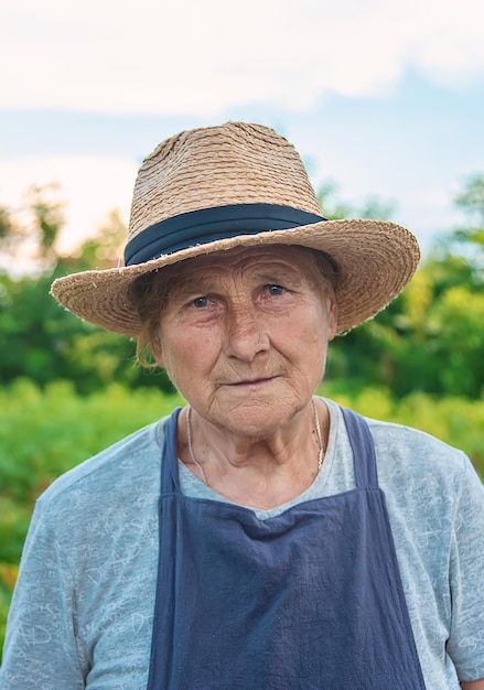 Ritratto di una nonna nel fuoco selettivo del giardino