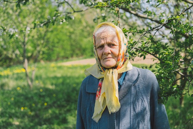 Ritratto di una vecchia donna felice in un velo giallo Ritratto di una nonna adulta dai capelli grigi sullo sfondo della natura