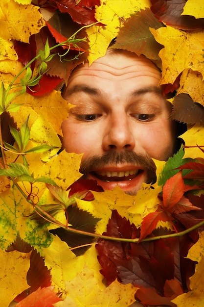 Ritratto di uomo barba autunno concettuale artistico. Foglie colorate. Foglie di alberi intorno a un volto emotivo. L'autunno sta arrivando.