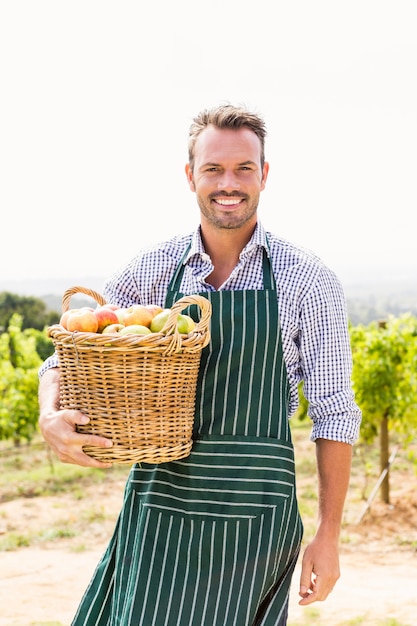 Ritratto di uomo con cesto di mele in vigna