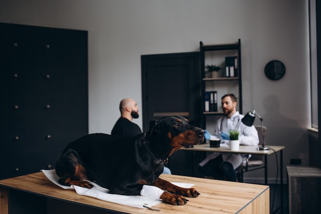 Ritratto di veterinario maschio maturo che sorride alla macchina fotografica mentre si siede sul tavolo dell'esame withdog allo spazio della copia della clinica veterinaria