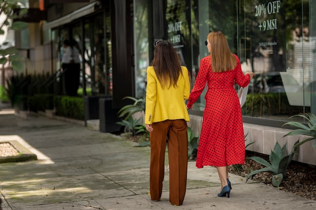 Ritratto di vista posteriore di due donne dello shopping che camminano per la strada nell'area dello shopping