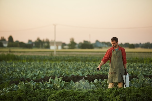 Ritratto grandangolare del lavoratore maschio che innaffia i raccolti e le verdure mentre levandosi in piedi alla piantagione, spazio della copia