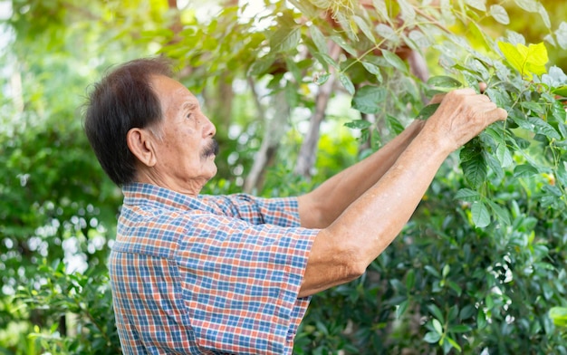 Ritratto laterale di un nonno felice che lavora a casa in giardino