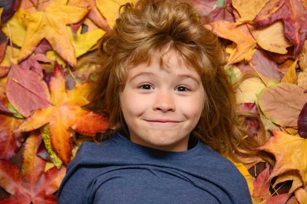 Ritratto primo piano di bambino divertente ragazzo sdraiato in autunno foglie autunno umore felice sorridente carino bambino con