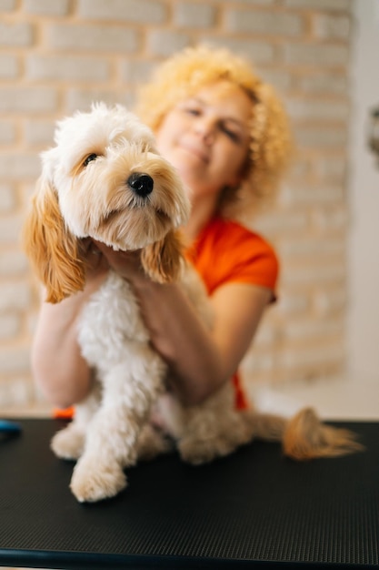 Ritratto verticale di adorabile cane Labradoodle riccio seduto al tavolo prima di spazzolare e tosare nel salone di toelettatura guardando la fotocamera