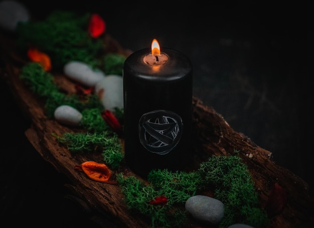Rituale candela nera verde muschio candela fiori secchi e pietre nella corteccia di albero sul nero