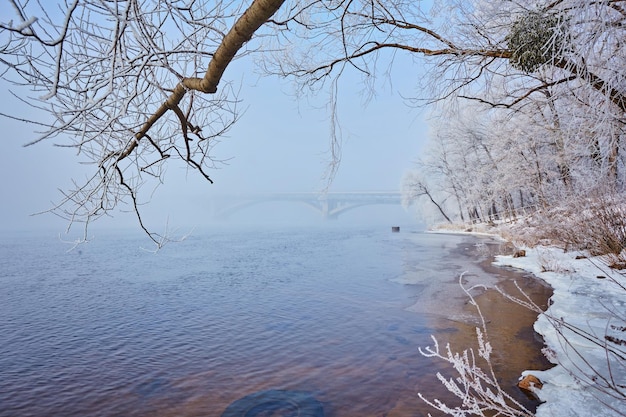 Riva del fiume dopo una nevicata in una giornata invernale nuvolosa