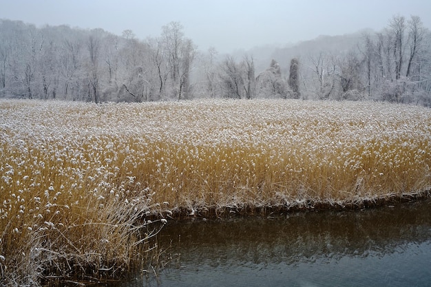 Riva del fiume Hudson