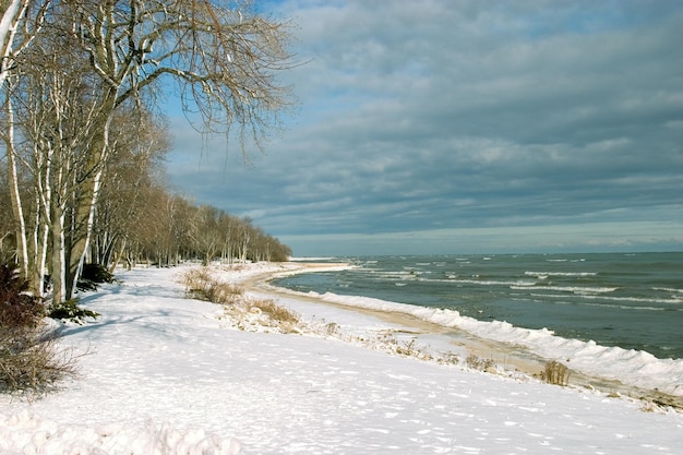 Riva del lago in inverno