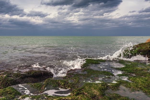 Riva del mare colorato con alghe verdi con tempo nuvoloso