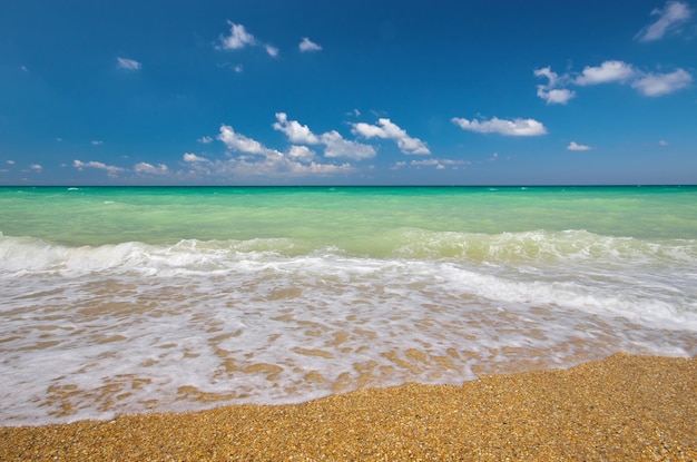 Riva del mare e giornata di sole Composizione nella natura