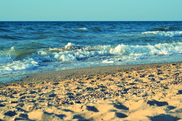 Riva del mare in una giornata di sole con filtro