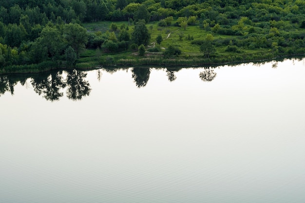 Riva dell'erba verde vicino alla superficie bianca dell'acqua