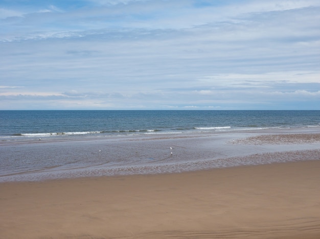 Riva della spiaggia del mare