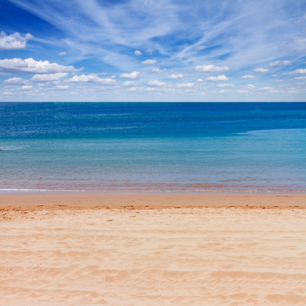 Riva della spiaggia sabbiosa con acque di mare blu e cielo nuvoloso