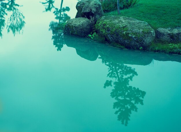 Riva rocciosa mistica dell'annata blu del fiume con la riflessione dell'albero di pino