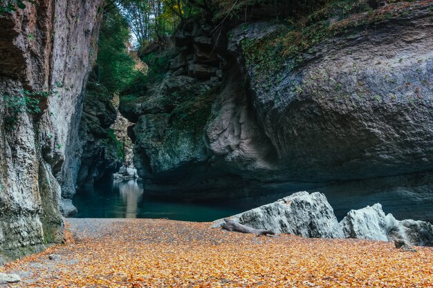 Riva sabbiosa del paesaggio di autunno di un fiume della montagna sparso con le foglie gialle