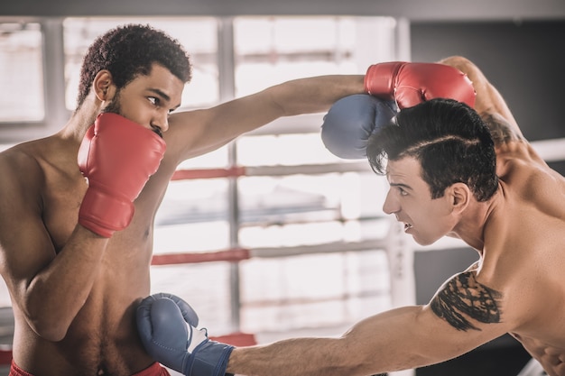 Rivalità. Due rivali che litigano su un ring e sembrano aggressivi