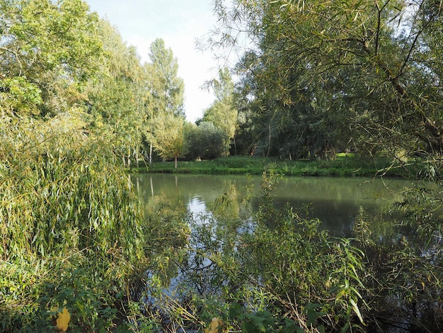 River Cam a Cambridge