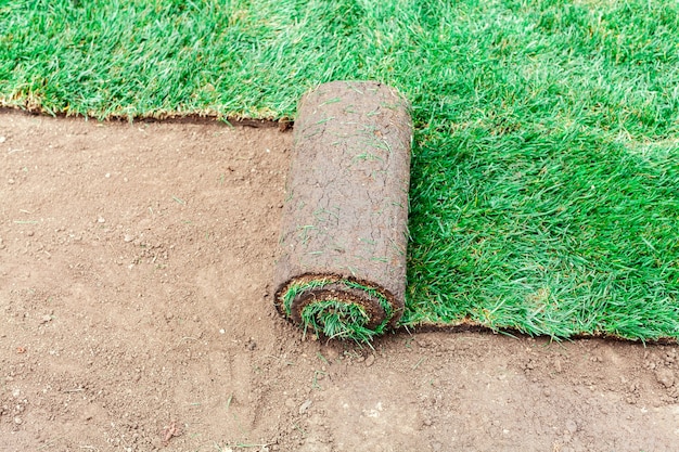 Rivestimento del suolo con rotoli verdi di un prato