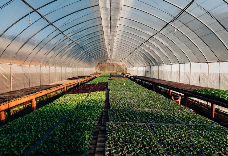 Foto rivoluzione dell'agricoltura il futuro della produzione alimentare con la tecnologia delle serre