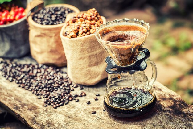 Robusta, Arabica, bacche di caffè e chicchi di caffè