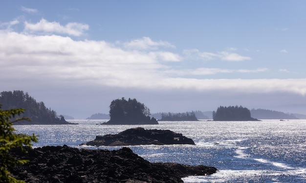 Rocce aspre su una costa rocciosa sulla costa occidentale dell'Oceano Pacifico