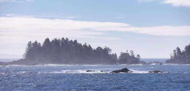 Rocce aspre su una costa rocciosa sulla costa occidentale dell'Oceano Pacifico