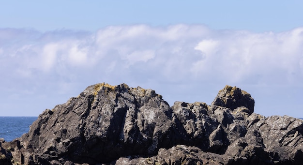 Rocce aspre su una costa rocciosa sulla costa occidentale dell'Oceano Pacifico