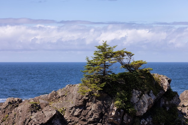 Rocce aspre su una costa rocciosa sulla costa occidentale dell'Oceano Pacifico