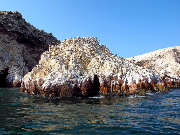 Rocce con animali nell'Oceano Pacifico Paracas Perù