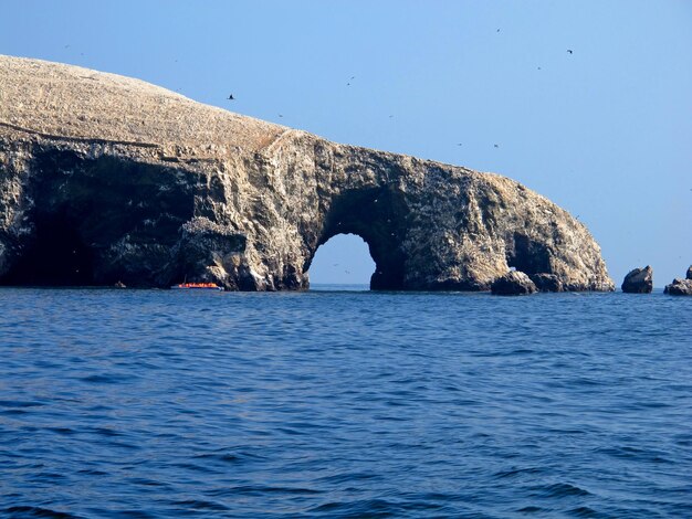 Rocce con animali nell'Oceano Pacifico Paracas Perù