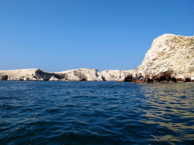 Rocce con animali nell'Oceano Pacifico Paracas Perù