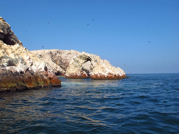 Rocce con animali nell'oceano Pacifico, Paracas, Perù