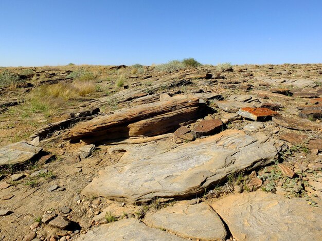 Rocce del deserto Windhoek Namibia