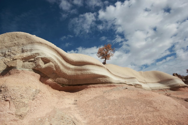 Rocce di erosione del vento