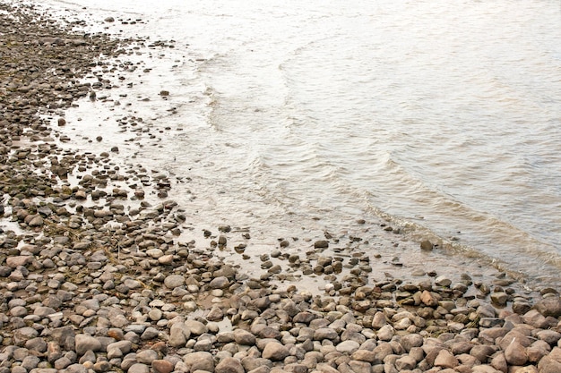 Rocce e alghe sulla riva del Golfo di Finlandia in una giornata nuvolosa