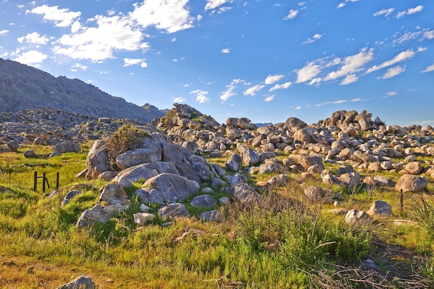 Rocce e massi in un terreno accidentato e incolto sulla Table Mountain Città del Capo Sud Africa Lussureggianti cespugli e arbusti verdi che crescono tra flora e piante in una tranquilla riserva naturale d'oltremare