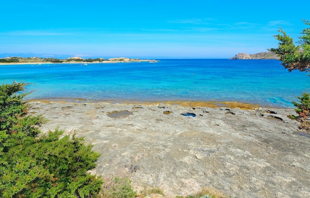 Rocce e piante in riva al mare a Capo Testa Sardegna