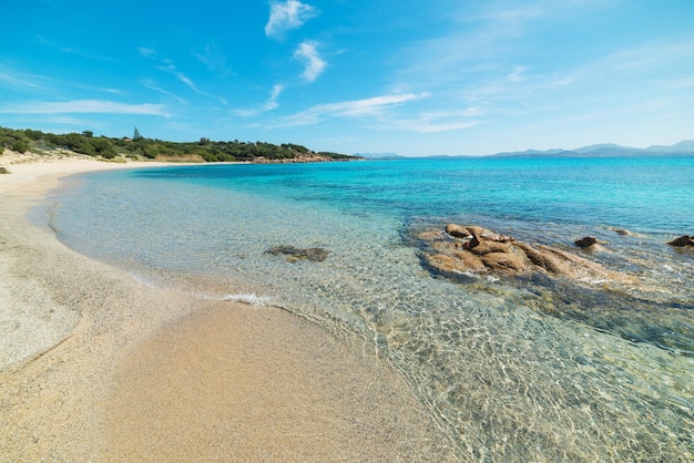 Rocce e sabbia nella spiaggia La Celvia Sardegna