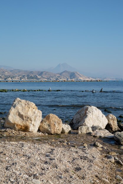 Rocce e sule sulla spiaggia di El Campello Alicante Spagna