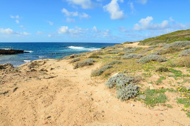 Rocce gialle dalla costa dell'Argentiera Sardegna